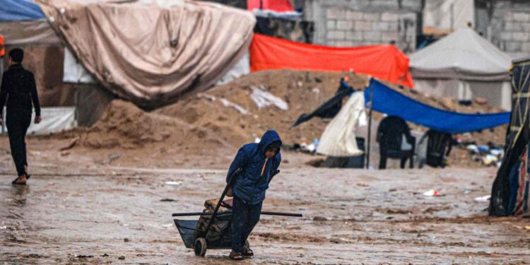 Deadly diseases lurk for the residents of Gaza and warnings of famine  News