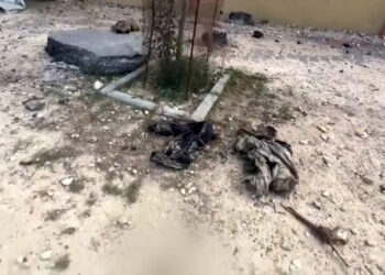 Decomposing corpses in the Gaza Strip.. What diseases do they transmit and what risks do they carry?