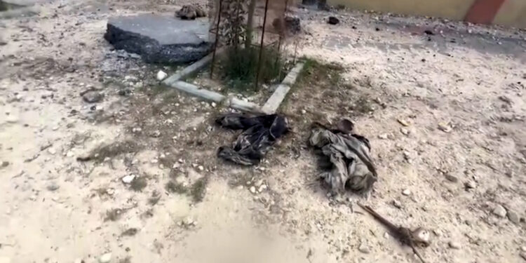 Decomposing corpses in the Gaza Strip.. What diseases do they transmit and what risks do they carry?