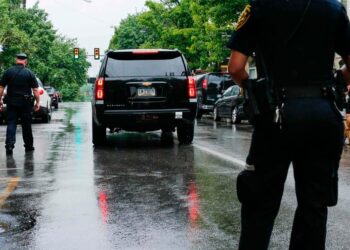 Dispute over cat vet bills: octogenarian accused of killing his wife