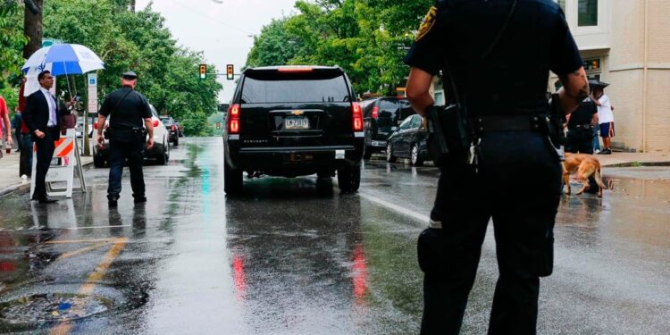 Dispute over cat vet bills: octogenarian accused of killing his wife