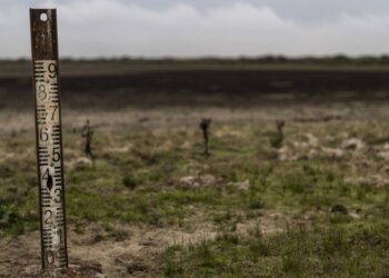 Doñana Natural Park condemned to disappear?