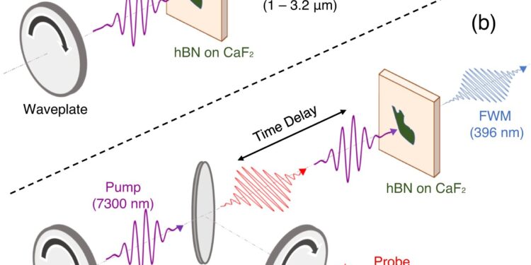 Engineers combine laser light with crystal lattice vibrations to improve optical properties of 2D material