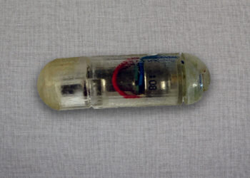 Engineers develop vibrating, ingestible capsule that could help treat obesity