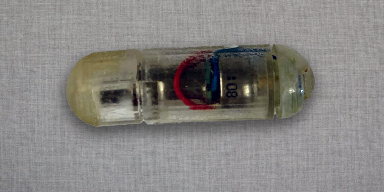 Engineers develop vibrating, ingestible capsule that could help treat obesity