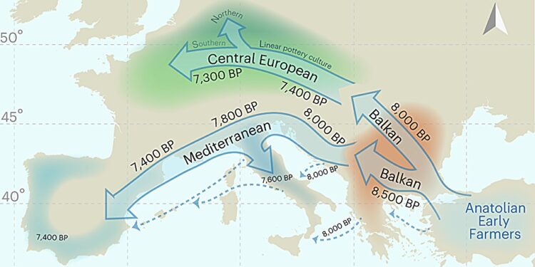 Environmental stress rather than genetics influenced height differences in early Neolithic people: study