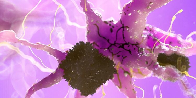 Experimental therapy alleviates signs and symptoms of Alzheimer’s disease in mice