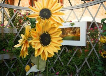 Expo 2023 Doha: making deserts greener