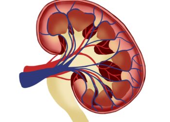 Eye exams can provide crucial information about kidney health, study finds