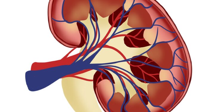 Eye exams can provide crucial information about kidney health, study finds