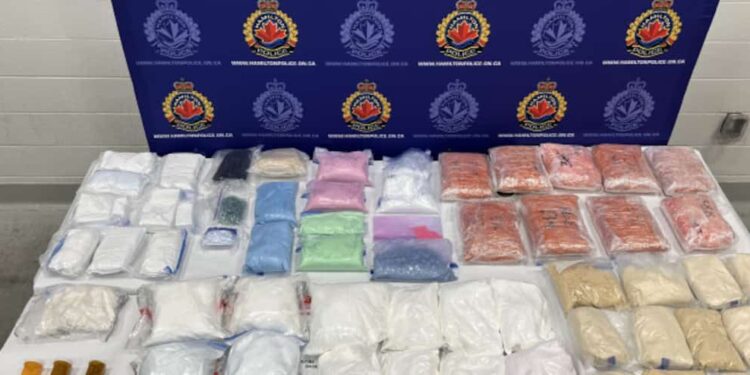 Fentanyl crisis: the United States distrusts Canada