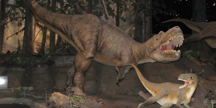 First prey found in the stomach of a tyrannosaurus