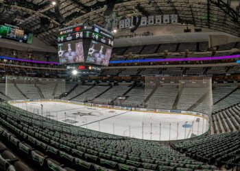 Former NHL player dies after mid-game injury