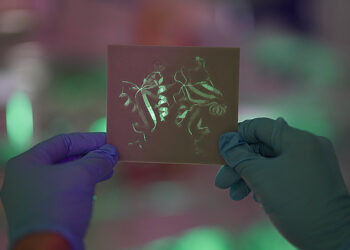 Fungus-fighting protein could help beat serious autoimmune diseases and cancer