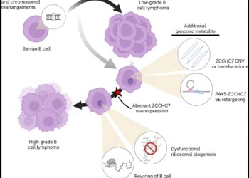 Genomic data sheds light on how lymphoma can become deadly