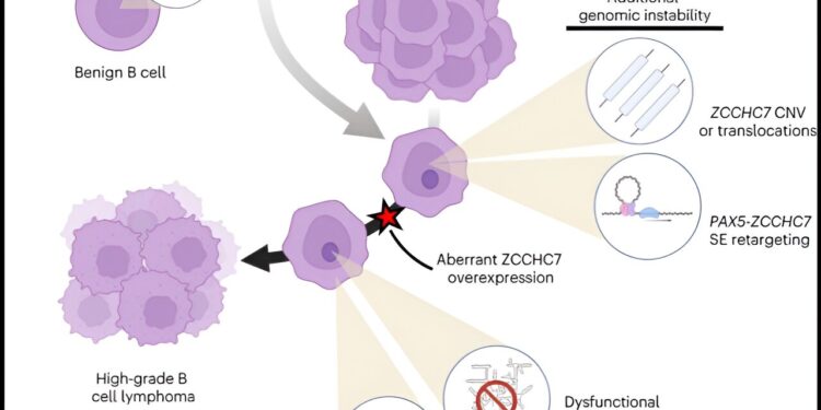 Genomic data sheds light on how lymphoma can become deadly