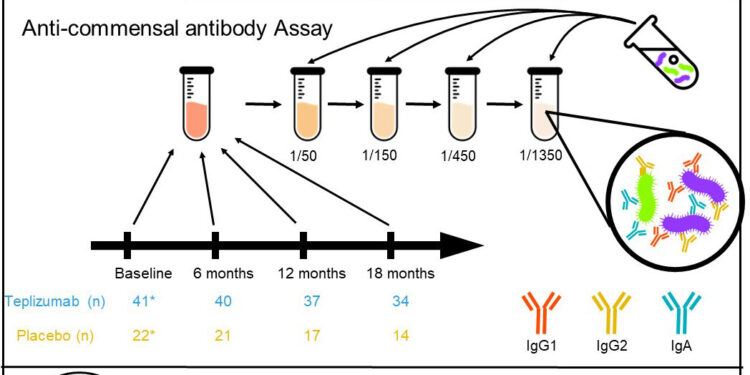 Gut microbes may determine how patients respond to a drug that delays the onset of type 1 diabetes