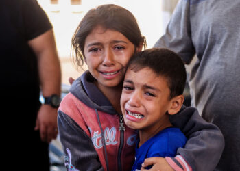 Haaretz: Stop the mass killing in Gaza