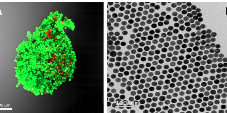 Harnessing nanotechnology to understand tumor behavior