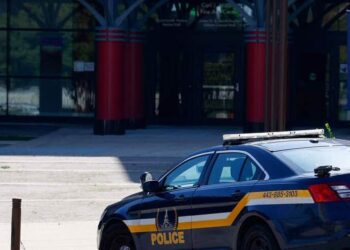 He steals a vehicle and collides with several police cars