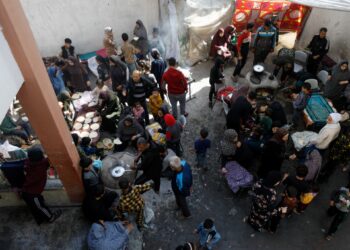 Health risks facing the displaced and calls to open the Abu Salem crossing in Gaza  News