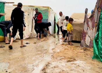 Heavy rains in Gaza exacerbate the suffering of the displaced and increase fears of disease outbreaks  News