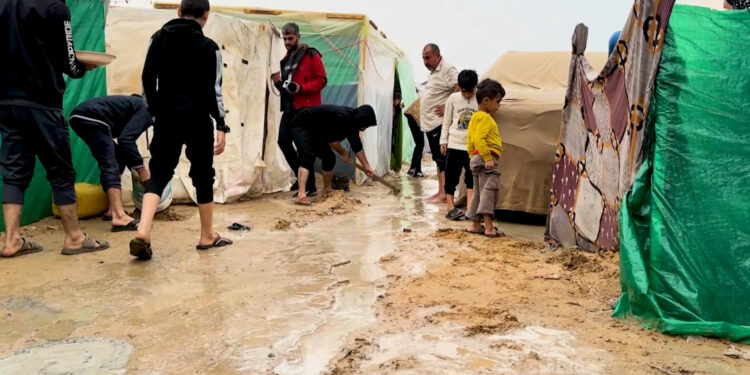 Heavy rains in Gaza exacerbate the suffering of the displaced and increase fears of disease outbreaks  News