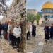 In 5 days.. This is what Al-Aqsa witnessed during the Jewish Festival of Lights Jerusalem News