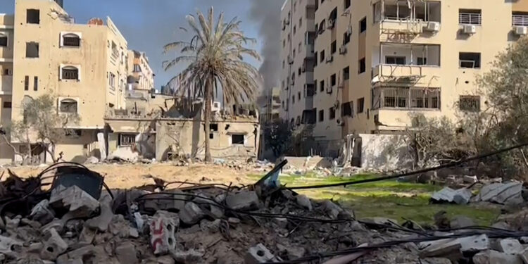 In search of safe areas…a large displacement movement from the east of Gaza City to its west  News