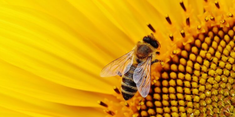 “Inert” Pesticide Ingredients May Be More Toxic to Bees Than Scientists Thought
