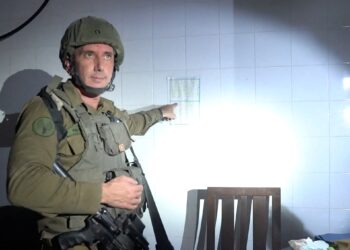 Israeli writer: We need Hagari’s lies to believe that we are victorious