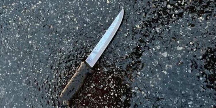 Knife attack in New York: five dead, including the suspect, and three injured