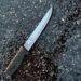Knife attack in New York: five dead, including the suspect, and three injured