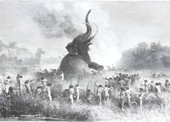 Last week’s best – cause of large mammal decline, imitative but not innovative AI, drinking habits and liver disease