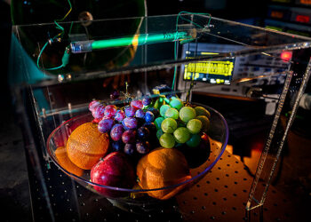 Lightning sparks scientists’ design of ultraviolet-C device for food disinfection