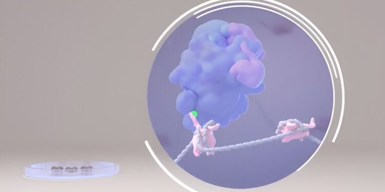 Localized genetic mutations may serve as a biomarker for a wide range of cancers