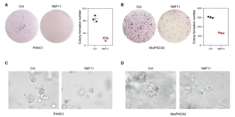 Massive drug search uncovers infinitesimal molecule that kills cancers while sparing immune cells