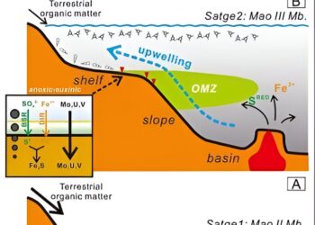 Massive extinction of the marine environment in the Permian linked to anoxia induced by volcanism
