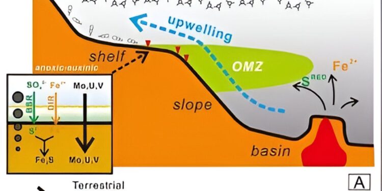 Massive extinction of the marine environment in the Permian linked to anoxia induced by volcanism