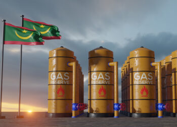 Mauritania intends to export its first gas shipment in mid-2024  Economy
