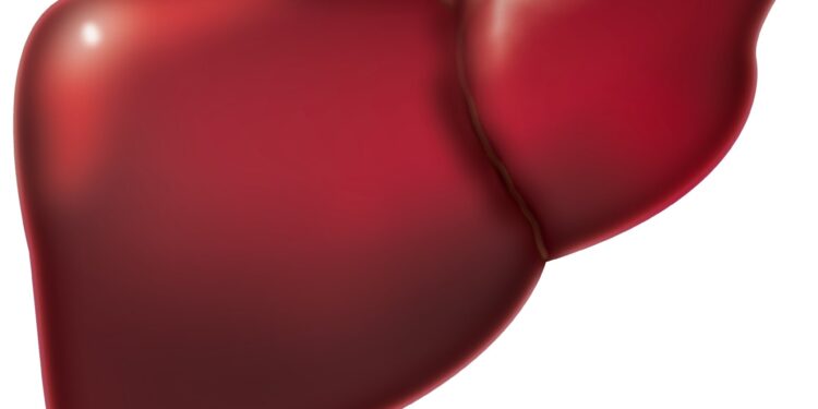 Microbiome information found in feces helps predict infections in liver transplant patients