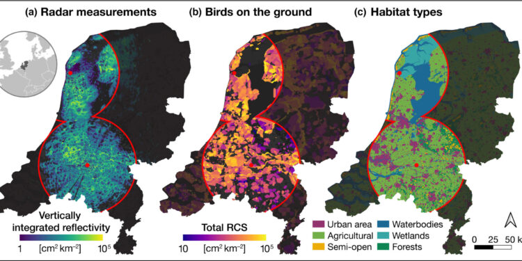 Millions of birds lose valuable energy from New Year’s Eve fireworks, study finds