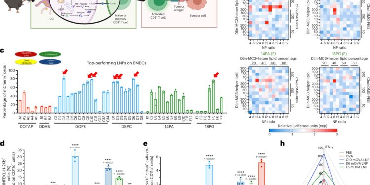 Nanoparticles boost the potential power of a cancer vaccine