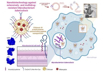 Nanoparticles with antibacterial action could shorten the duration of tuberculosis treatment