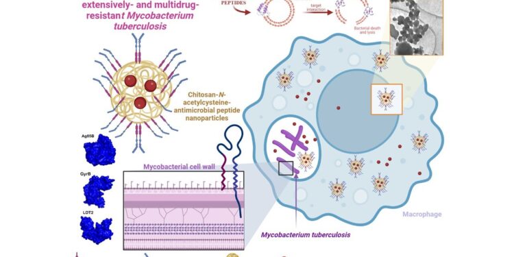 Nanoparticles with antibacterial action could shorten the duration of tuberculosis treatment