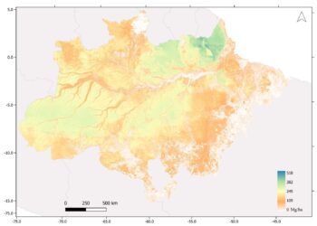 New map shows all above-ground biomass of the Brazilian Amazon