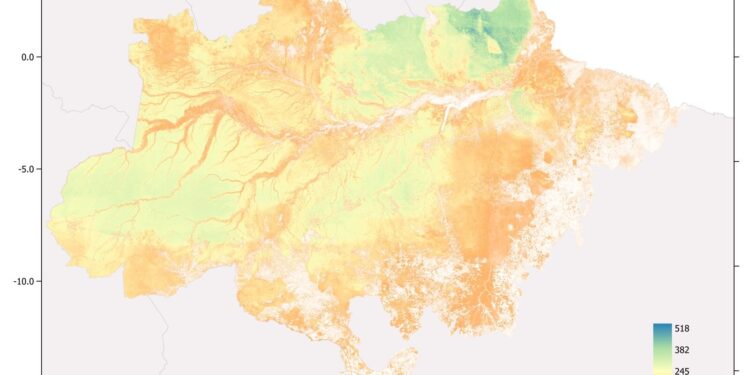 New map shows all above-ground biomass of the Brazilian Amazon
