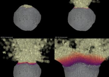 New nuclear deflection simulations advance planetary defense against asteroid threats
