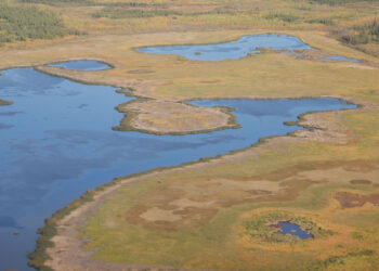 New study sheds light on how much methane is produced by Arctic lakes and wetlands
