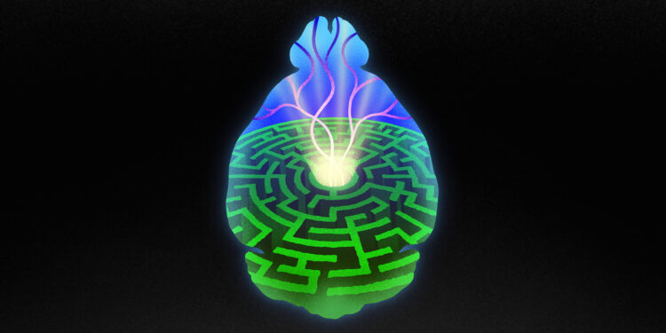 New study sheds light on how the brain learns to seek reward